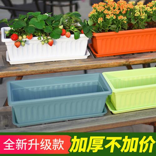 草莓种植槽种菜箱实用室内种菜神器多层种蔬菜的箱子阳台菜盆挂架