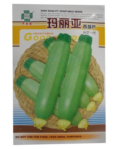 荨瓜 家庭种植实用装 阳台室内盆栽花卉种子 庭院花种子 瓜果蔬菜种子